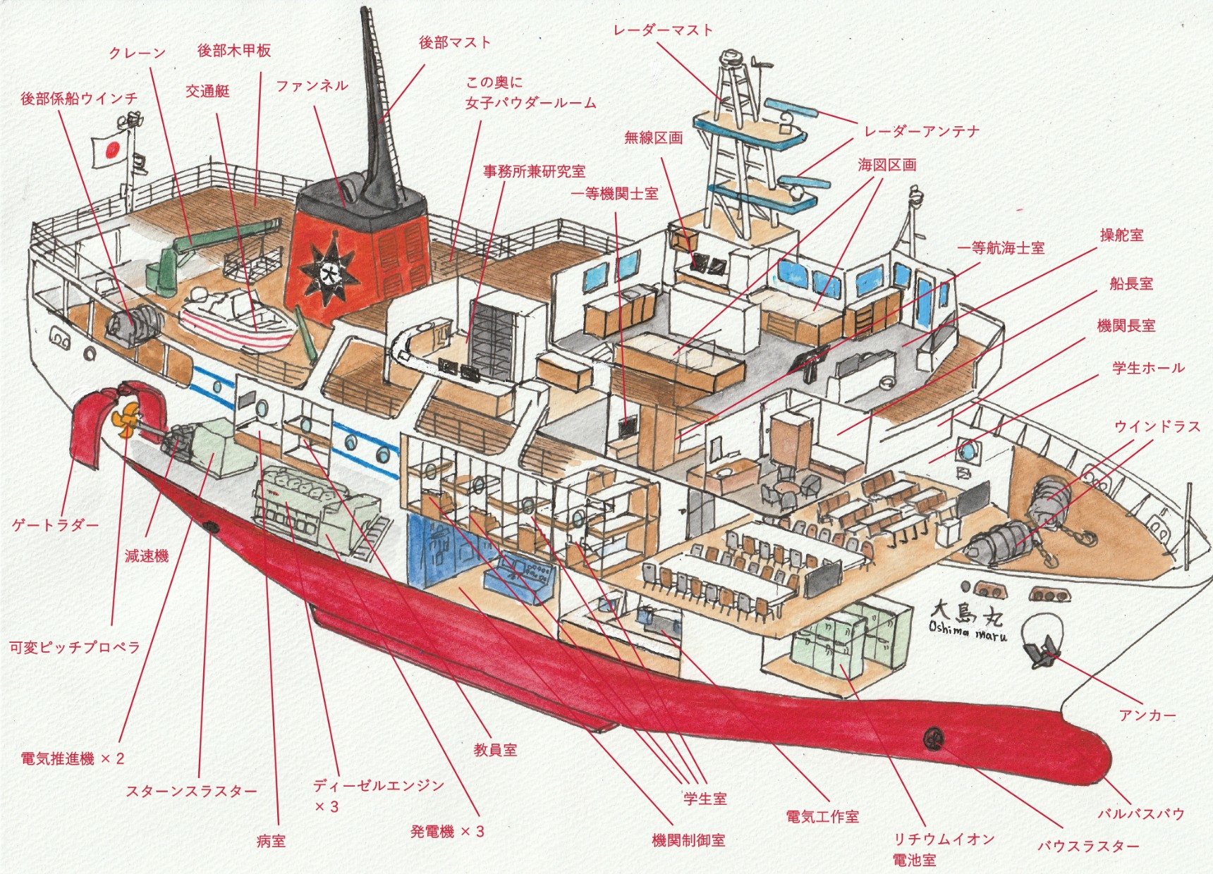 大島丸を大解剖！